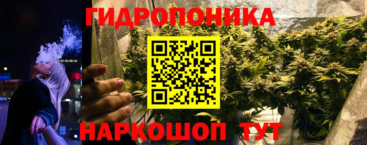 Каннабис план  Вход с VPN  Канабис конопля  Карачаевск  Бошки марихуана гибрид 